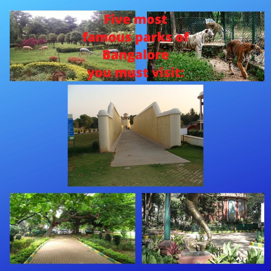 Five most famous parks of Bangalore you must visit: