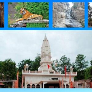 Spectacular tourist destinations to see in Alwar