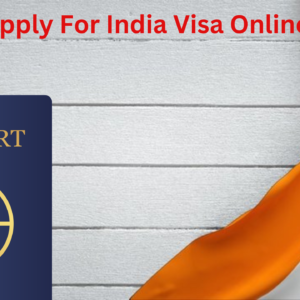 How to Apply For India Visa Online